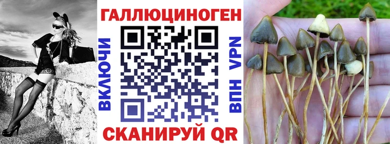 Галлюциногенные грибы мухоморы  гидра зеркало  Агидель 